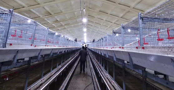 養(yǎng)鴨場老板：熱泵供暖溫度高，費用比燒煤還??！